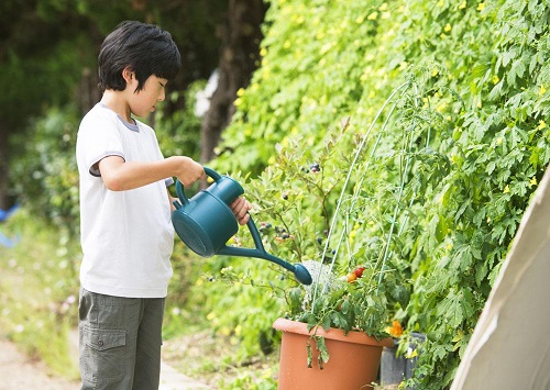 说说听觉统合训练从身心状态开始调节